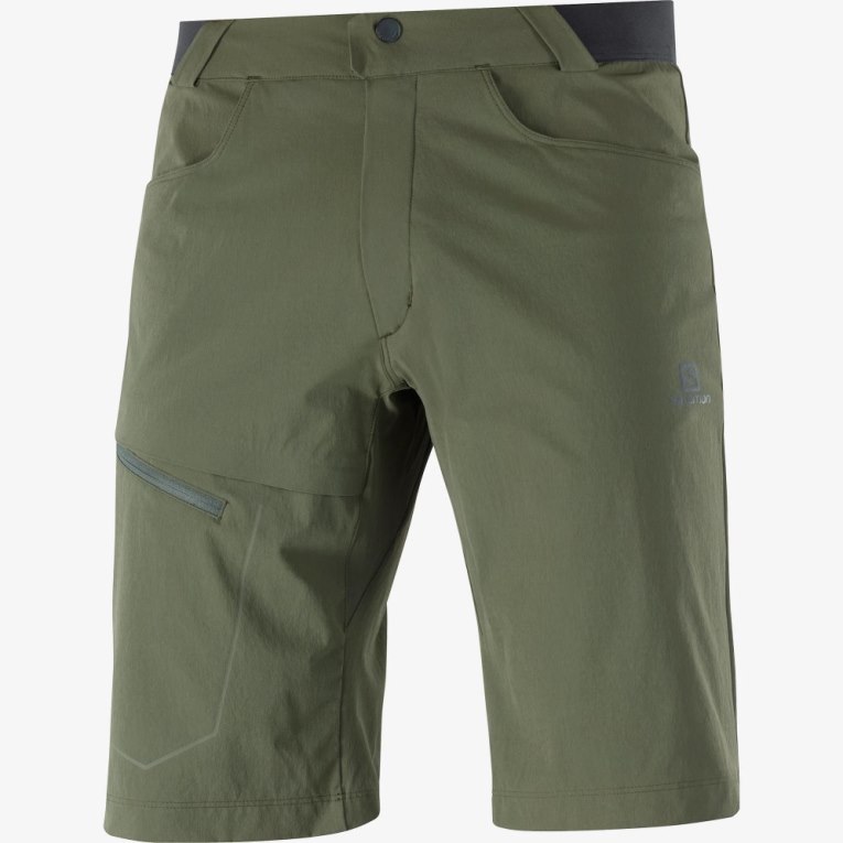 Olive Salomon Wayfarer Men's Shorts | PH 14789F